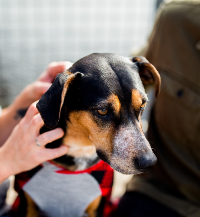 Le chiffre de la semaine