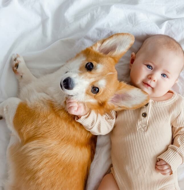 Décryptage sociétal