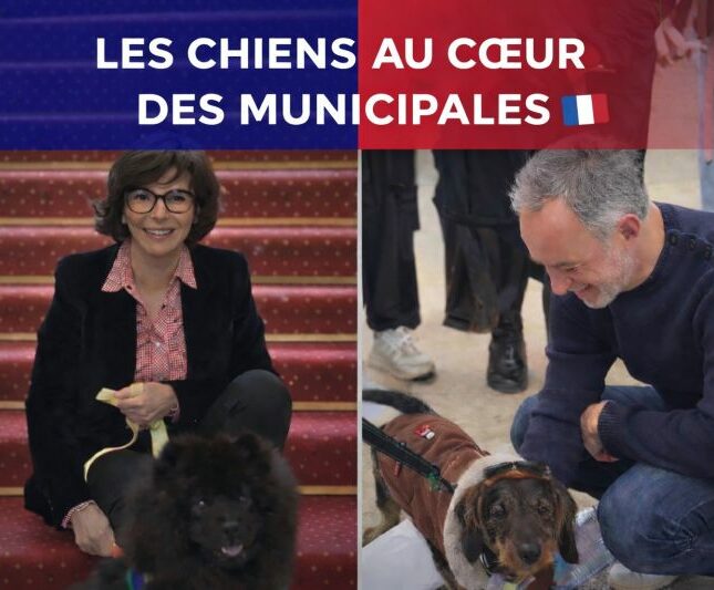 Pet Care & Société
