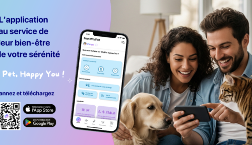 Comment alléger la charge mentale des pet parents ?