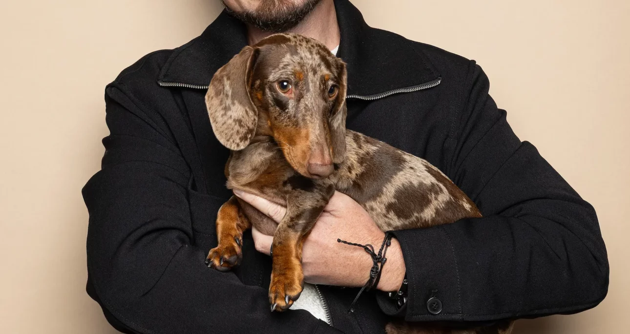 Du teckel de Charles Leclerc aux it-dogs d’Instagram : pourquoi la dogmania explose