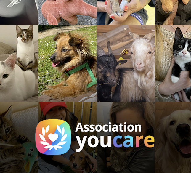 Touche pas à mon compagnon