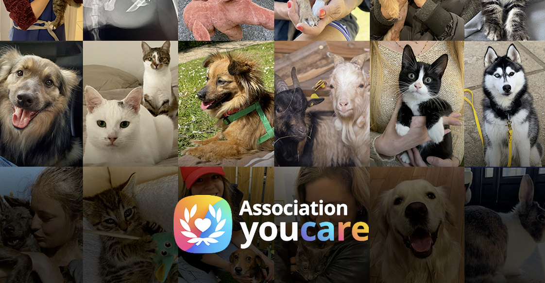 Touche pas à mon compagnon