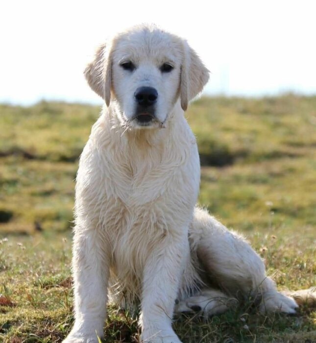 Le chiffre de la semaine