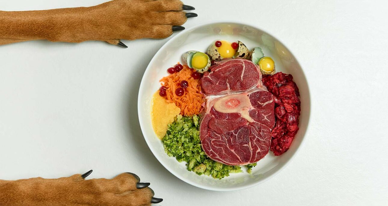 Business & industrie