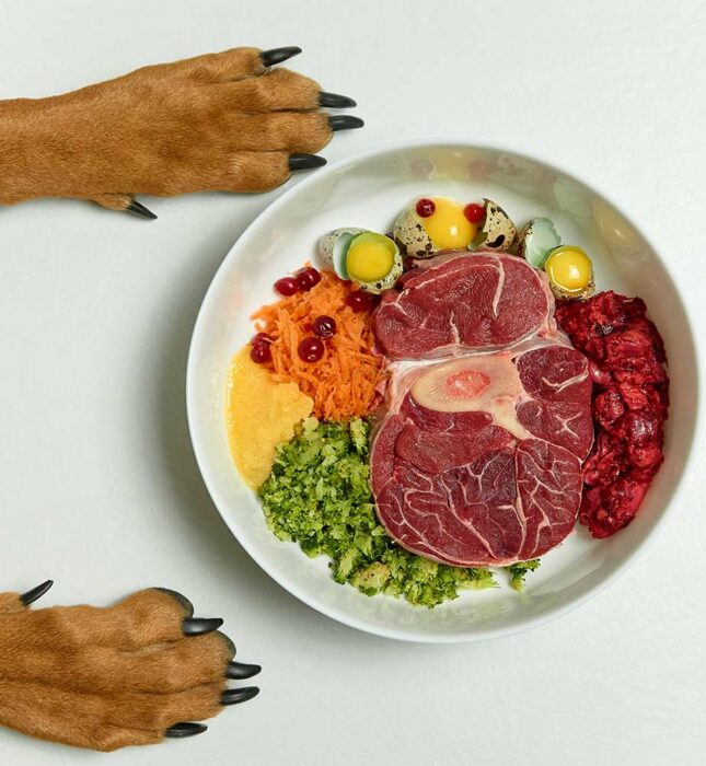 Business & industrie